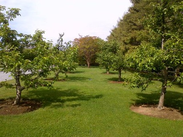 Bridgehampton