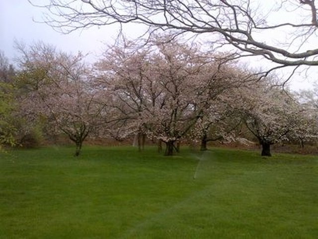 Bridgehampton