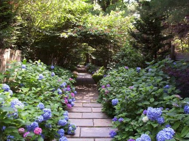 Bridgehampton