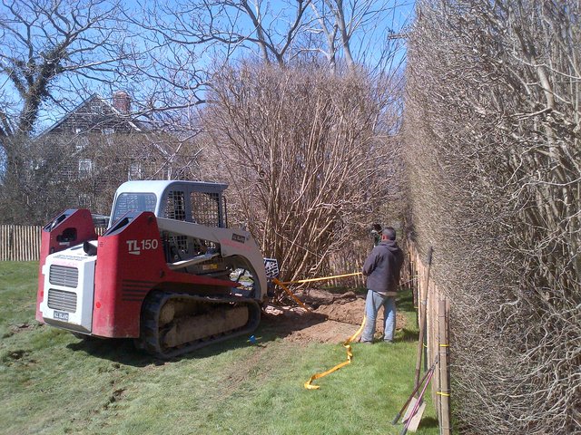 Transplanting